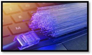 Colorful Picture of Network and Fiber Optic Cables