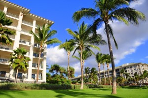 Condo Building